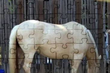 American cream draft jigsaw puzzle