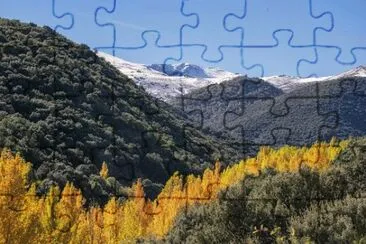 Nature jigsaw puzzle