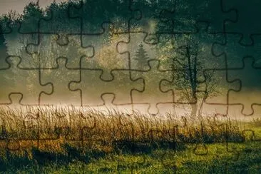 Nature jigsaw puzzle