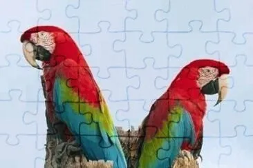 natural jigsaw puzzle