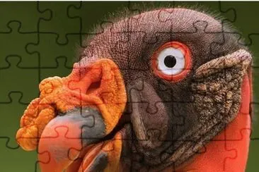 natural jigsaw puzzle