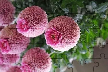 flores jigsaw puzzle