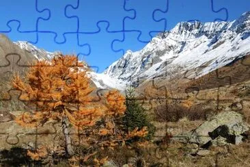 Nature jigsaw puzzle