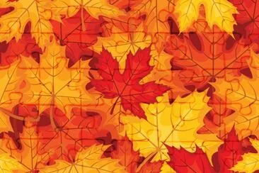 Feuilles jigsaw puzzle