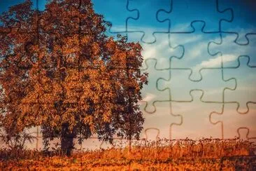 Nature jigsaw puzzle