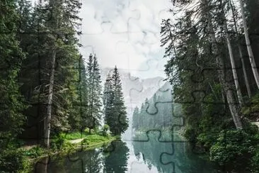 Nature jigsaw puzzle