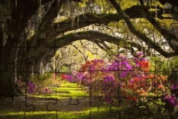 Nature jigsaw puzzle