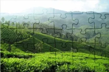 Nature jigsaw puzzle