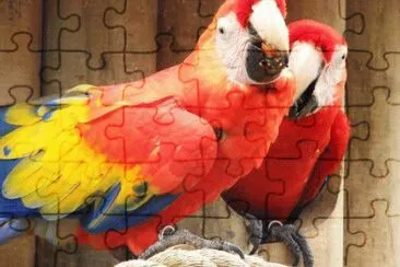 Paisajes de Costa Rica jigsaw puzzle