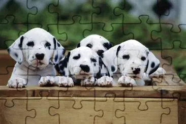 34 jigsaw puzzle