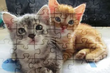 Hermanitos jigsaw puzzle