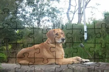 Ronny jigsaw puzzle