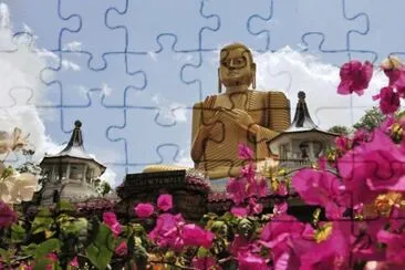 India jigsaw puzzle