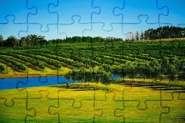 Nature jigsaw puzzle