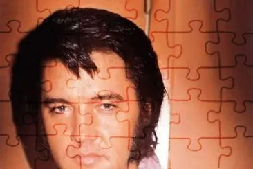 ELVIS FILES jigsaw puzzle