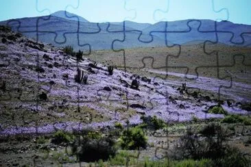 Nature jigsaw puzzle