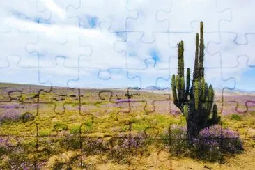 Nature jigsaw puzzle