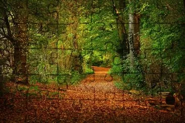 Nature jigsaw puzzle