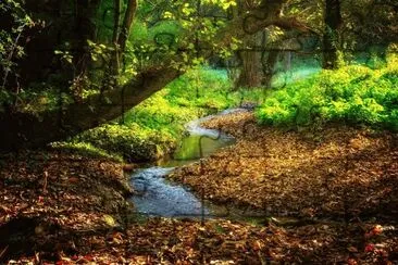 Nature jigsaw puzzle