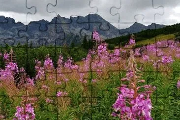 Nature jigsaw puzzle