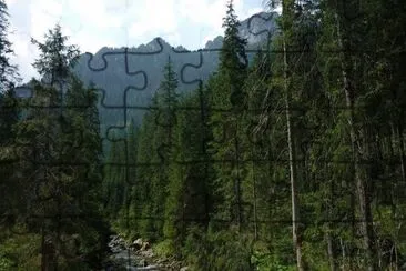 Nature jigsaw puzzle