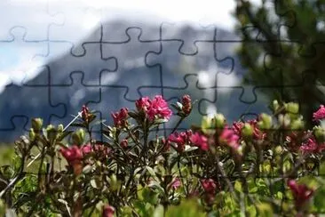 Nature jigsaw puzzle