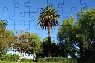 Nature jigsaw puzzle