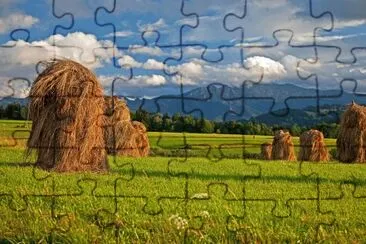 Nature jigsaw puzzle