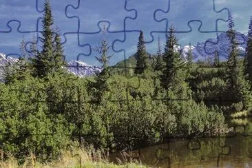 Nature jigsaw puzzle