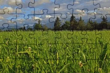 Nature jigsaw puzzle