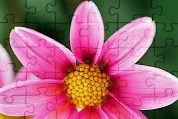 flores jigsaw puzzle