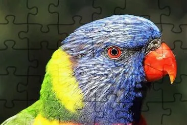 natural jigsaw puzzle