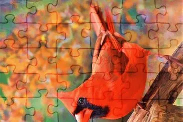 natural jigsaw puzzle