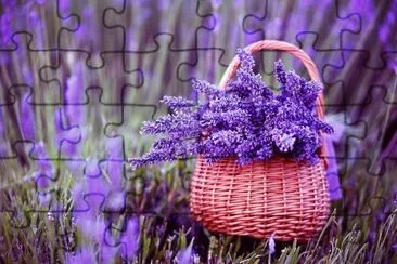 flores jigsaw puzzle