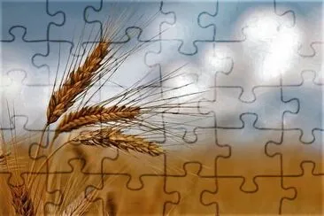 natural jigsaw puzzle