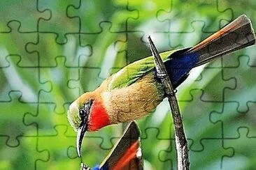 natural jigsaw puzzle