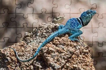 natural jigsaw puzzle