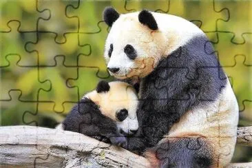 natural jigsaw puzzle