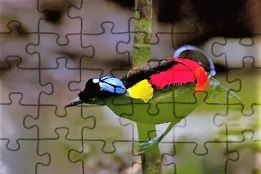 natural jigsaw puzzle