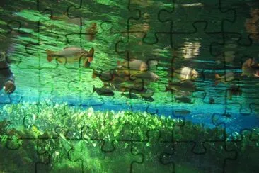 Nature jigsaw puzzle