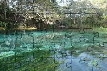 Nature jigsaw puzzle