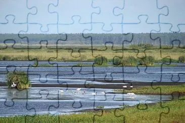 Nature jigsaw puzzle