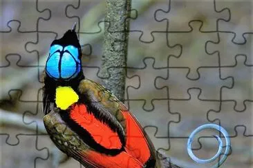 natural jigsaw puzzle