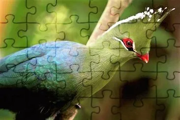 natural jigsaw puzzle