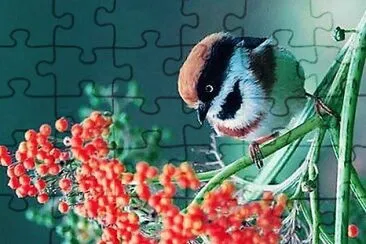 flores jigsaw puzzle