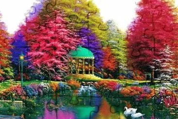 colorful flower garden