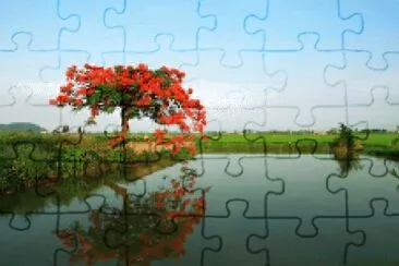 Nature jigsaw puzzle