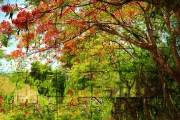 Nature jigsaw puzzle