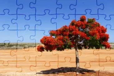 Nature jigsaw puzzle