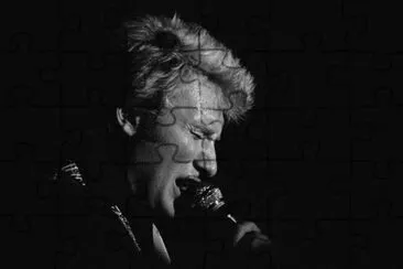 Hommage Hallyday